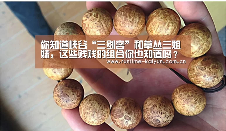你知道峡谷“三剑客”和草丛三姐妹,这些贱贱的组合你也知道吗?【开元棋牌下载】(图2) 开云在线直播
