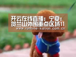 开元棋牌app