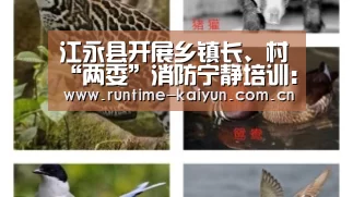江永县开展乡镇长、村“两委”消防宁静培训:开元棋牌下载(图3) 开元棋牌下载