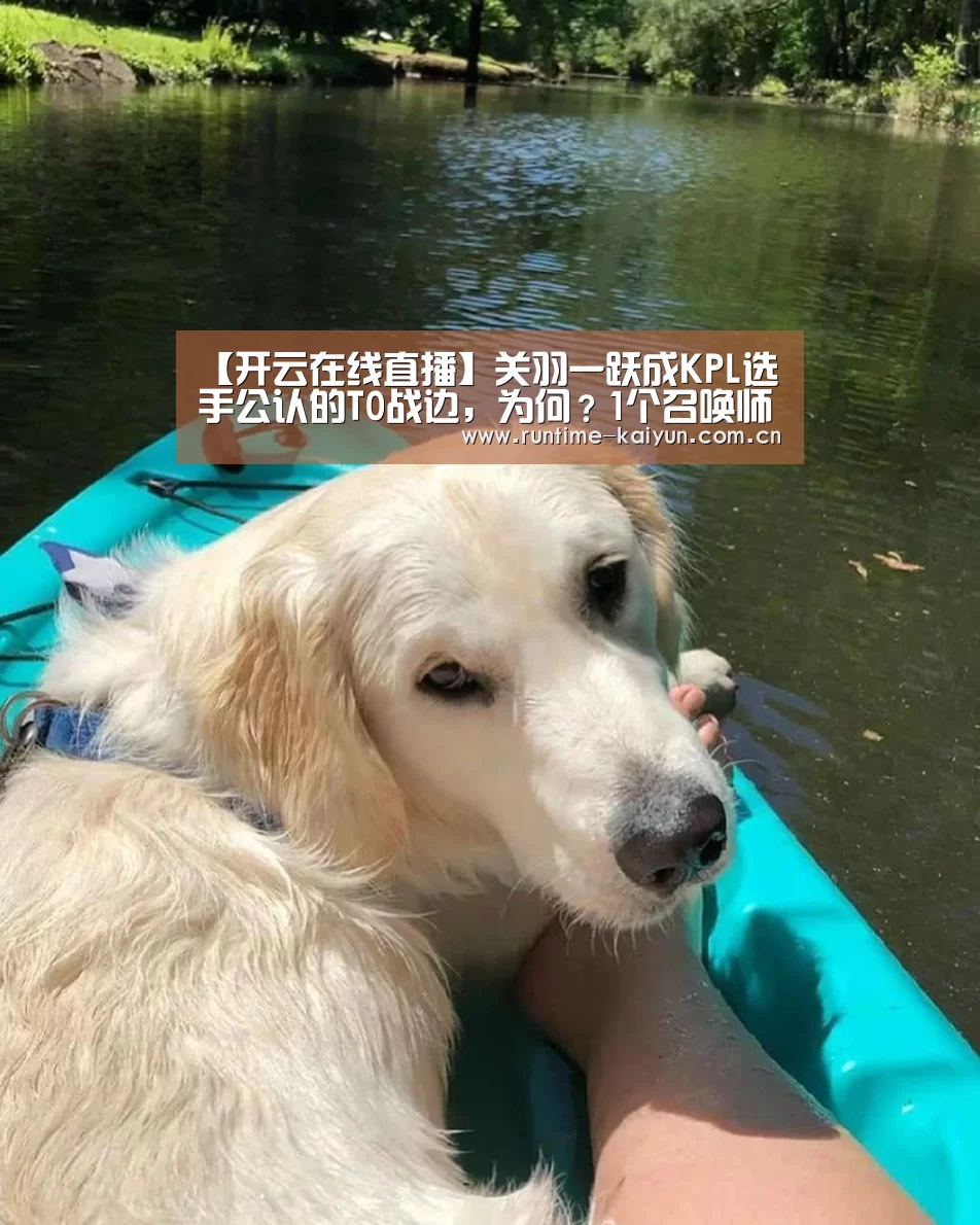 开元棋牌电脑版