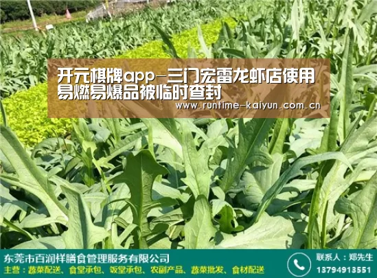开元棋牌app